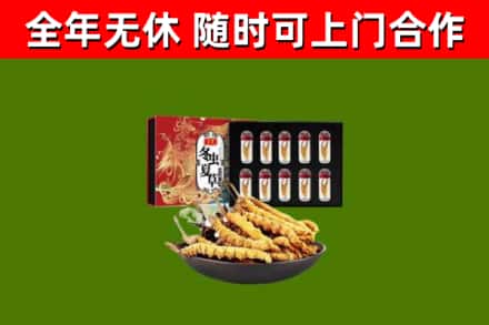 洞口烟酒回收冬虫夏草礼盒.jpg