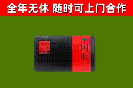 洞口烟酒回收阿胶.jpg